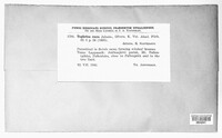 Image Associated With the Occurence